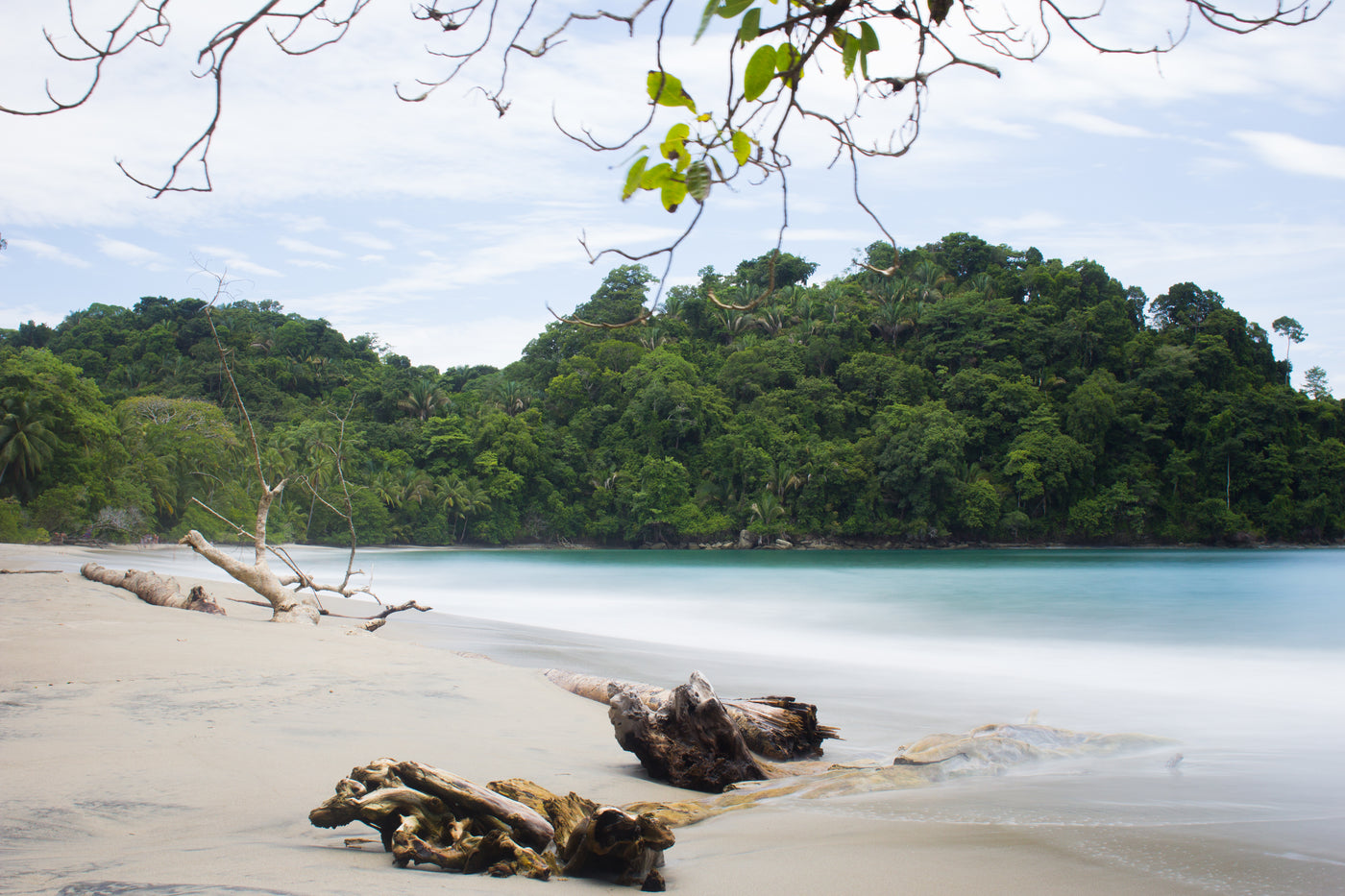 Fiskeäventyr i Costa Rica med roosterfish och andra arter