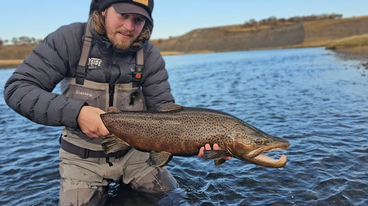En person i fiskekläder står i grunt vatten och håller en stor brunöring med mörka fläckar. I bakgrunden syns en flod och gräsbeklädda kullar under en klar himmel – en inspirerande fiskeresa.