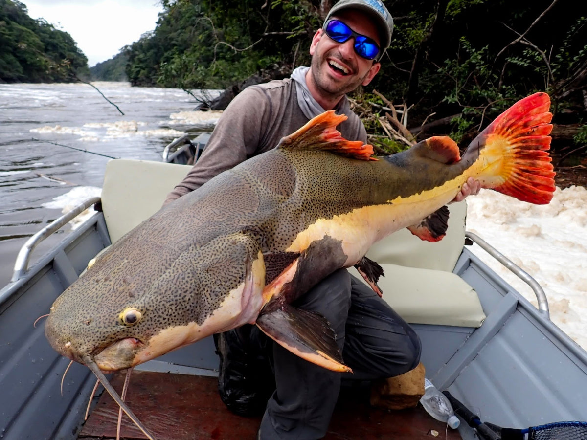 Fiske i djungelfloden i Guyana