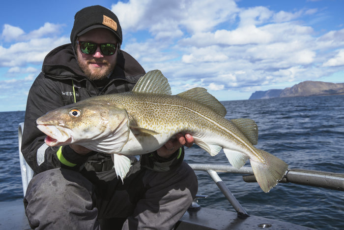 Fiskeresa till Andøya Risøyhamn i Norge med Outside Travels – havsfiske