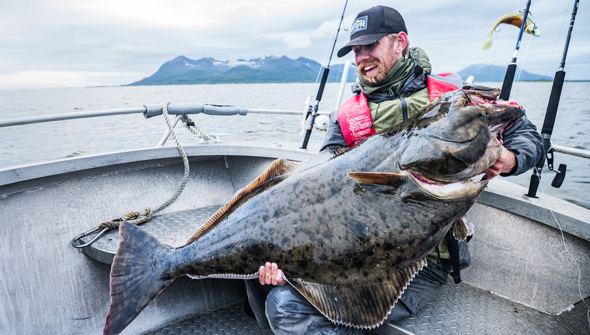 Sportfiskare på båt håller stor hälleflundra under fiskeresa. Spön och fjäll syns i bakgrunden, molnig himmel över vattnet.