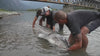 Trailer från fiskeresan till Fraser River i Kanada